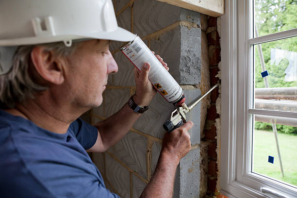 Best Insulation Maintenance and Repair in Annapolis Neck, MD